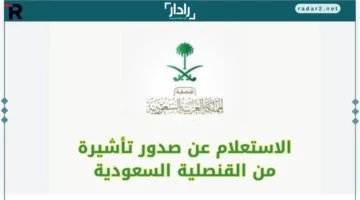 تتبع سهل.. تعرف على خطوات الاستعلام عن حالة طلب تأشيرة السعودية عبر منصة إنجاز